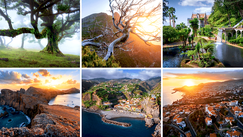 10 photography locations in madeira blog post