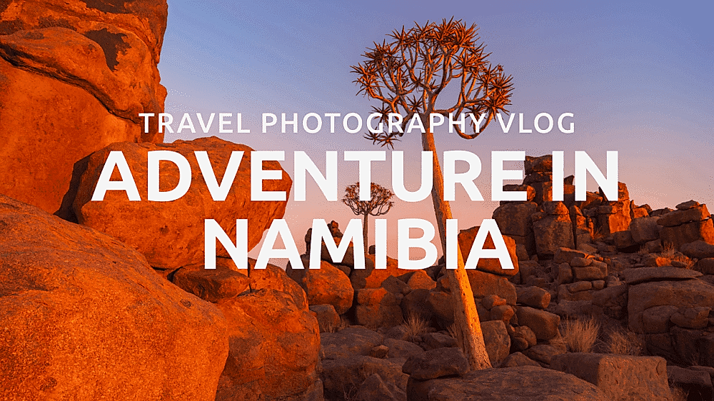 Quiver tree among rocky formations at sunset in Namibia