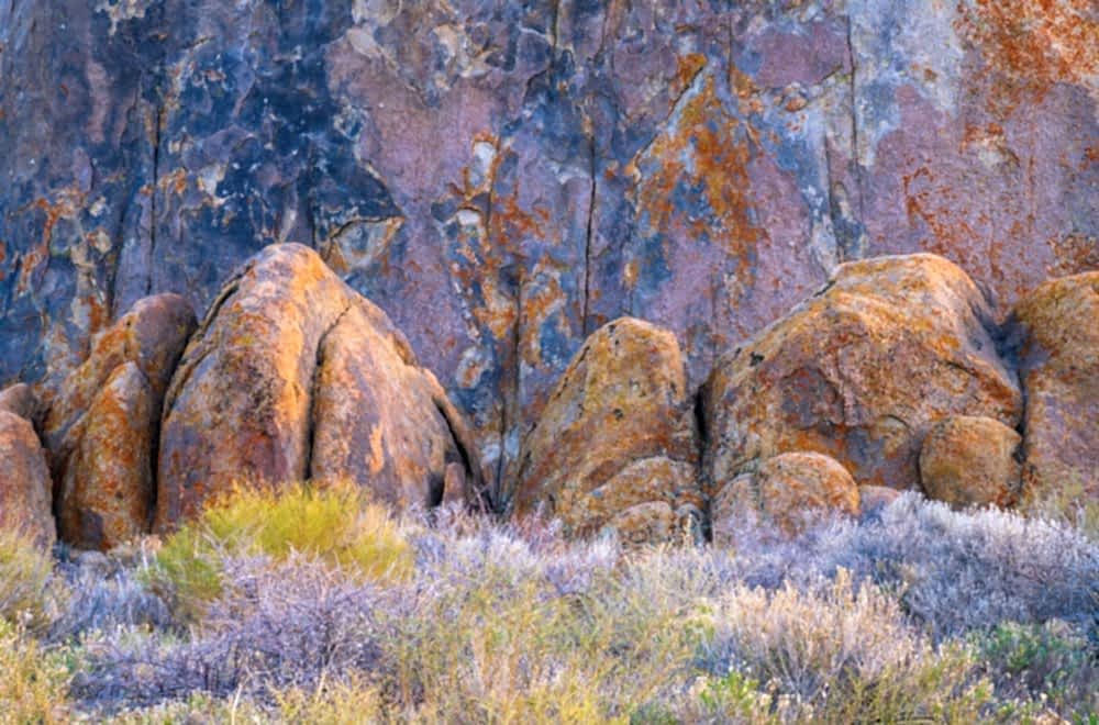 Alabama Hills Gallery