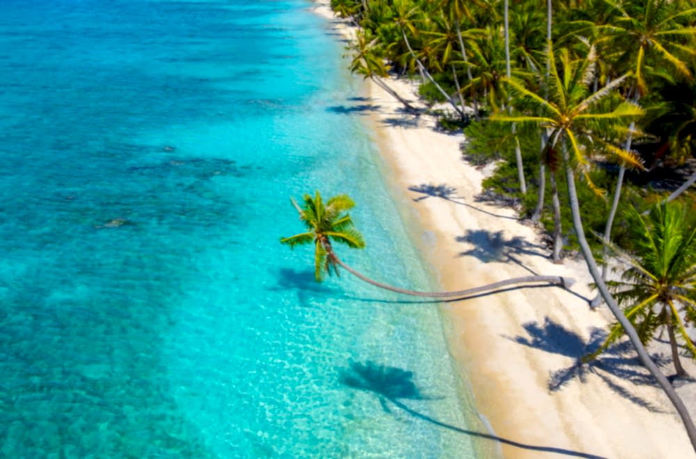 Turquoise waters and palm trees lining the beach in Fakarava, French Polynesia