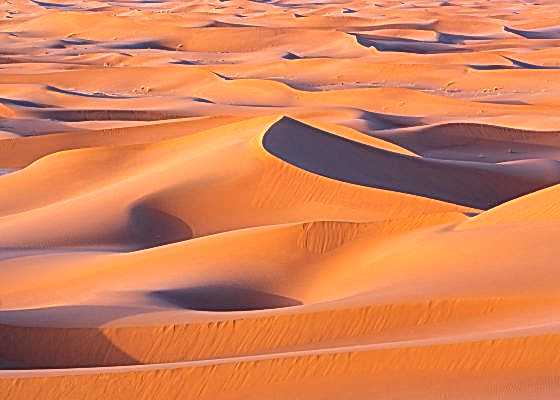 Morning light highlights undulating dunes in the Sahara Desert, Morocco