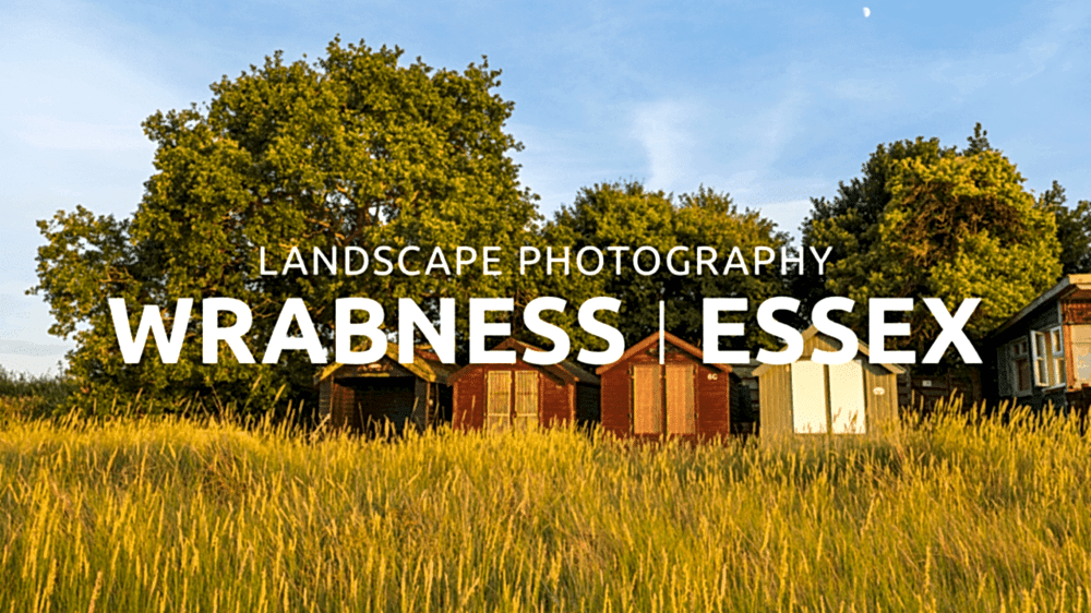 Colourful wooden huts surrounded by tall grass in Wrabness, Essex